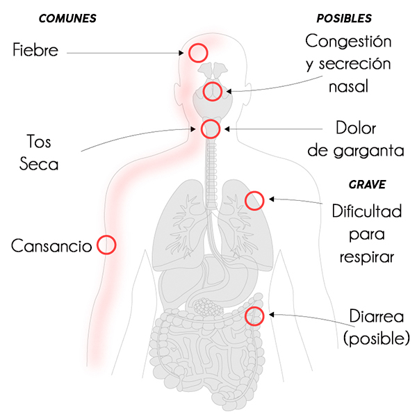 Las buenas noticias del coronavirus