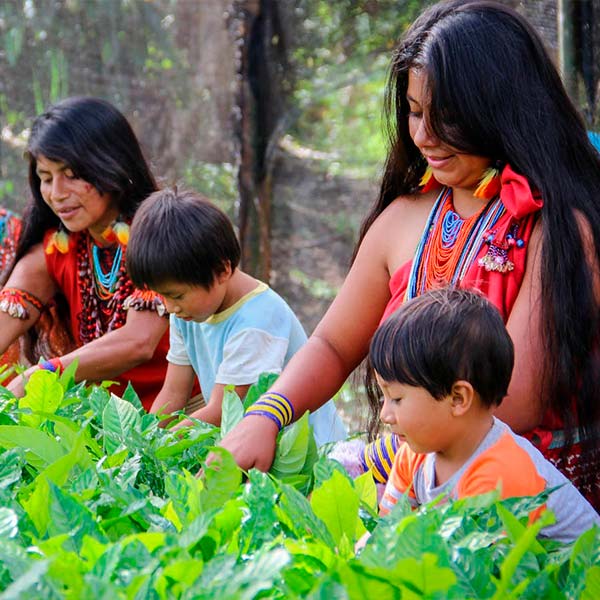 Aislamiento-de-COMUNIDADES-ORIGINARIAS-de-la-SELVA-frente-al-COVID-19-2